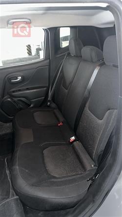 جيب رينيجيد